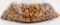 500 Count Of 9mm Luger Reloading Bullet Tips