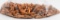 300 Count Of 6mm Mixed Reloading Bullet Tips