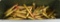 200 Rounds Of Mixed .30-06 SPRG Ammunition