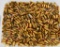 300 Rounds Of Mixed .40 S&W Ammunition