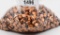 800 Count Of .40 Caliber HP Reloading Bullet Tips