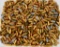 400 Rounds Of Mixed .40 S&W Ammunition