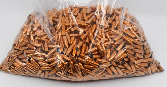 1000 Count Of .223/5.56 Bullet Tips