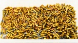 1000 Rounds Mixed .22 LR Ammunition