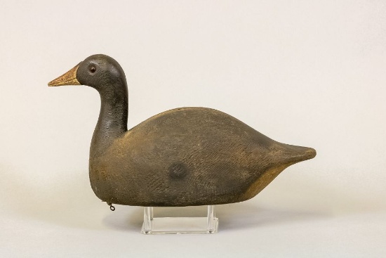 Frank Strey Coot Decoy, Oshkosh, WI, Rare,