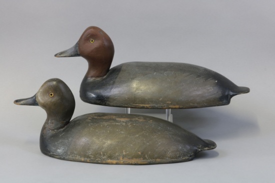 Schweikart pair of Redhead Duck Decoys,