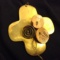 Brass Floral Wall Hanger