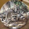 The Raccoon Collectors Plate