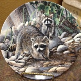 The Raccoon Collectors Plate
