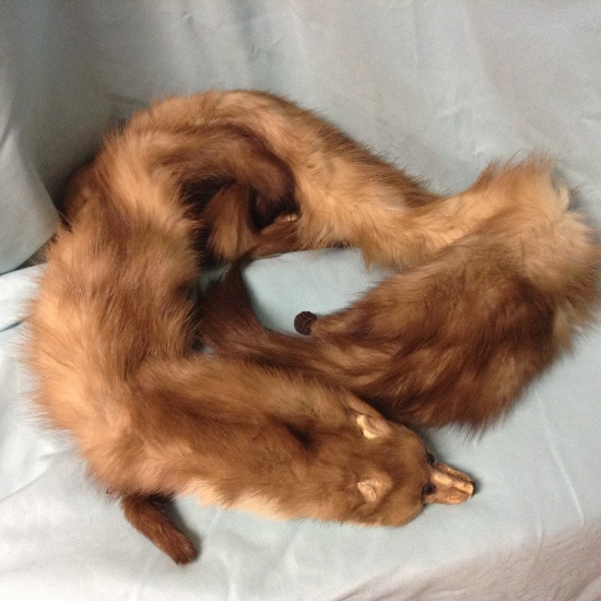 Fox Tails Collar