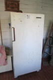 Upright Freezer