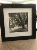 Framed Black & White tree print