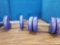 2 arm weights