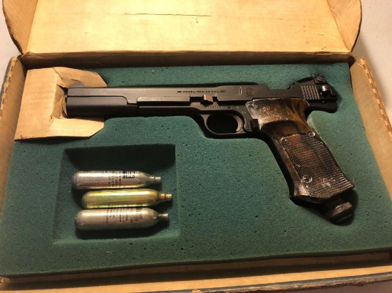 Smith & Wesson co2 pistol