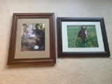2 pictures with wooden frame