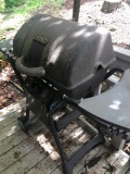 Thermos gas grill with tank
