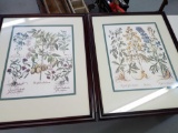 Flower Pictures with Wood Frames