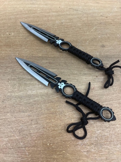 2 Stainless Throwing Knives