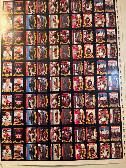 NASCAR Collector Cards Color Proof Print