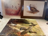 3 Wildlife Prints