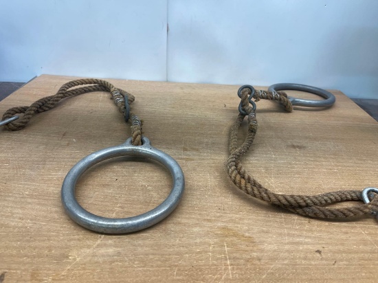 Playground Swing Rings