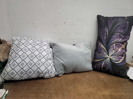 3 Throw Pillows