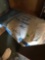 Gold Bond Spray Quick Medium 3 - 40 lbs. bags