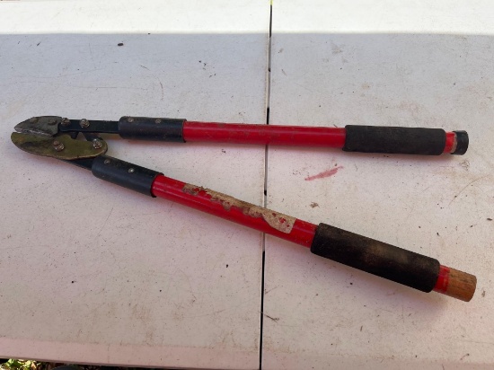 Corona Bolt Cutters