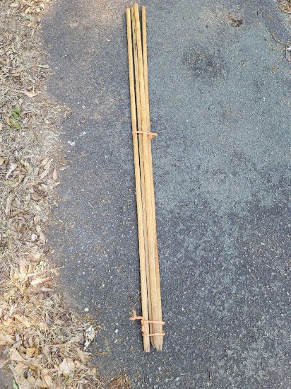 Tomato Stakes