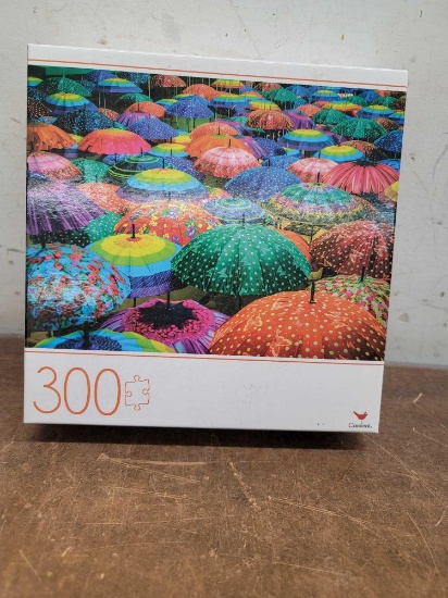300 Piece Puzzle