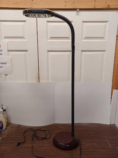 Verilux Floor Lamp