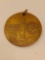 1969 USA NASA Apollo 11 Moon Landing Medal
