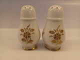 Porcelain Salt and Pepper Shakers