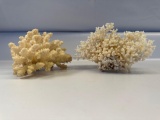 2 Coral Pieces