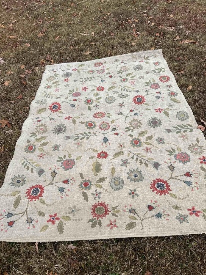 Darcy Indoor Area Rug