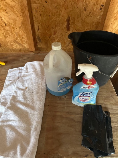 Cleaning Supplies and Bucket