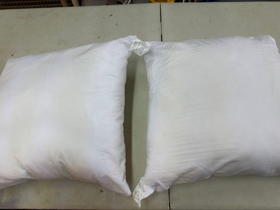 New 2 Edow Throw Pillows 18 x18 Inches