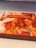 Battery Operated Fall Deco Lights Up