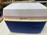 Rubbermaid 37 Cooler