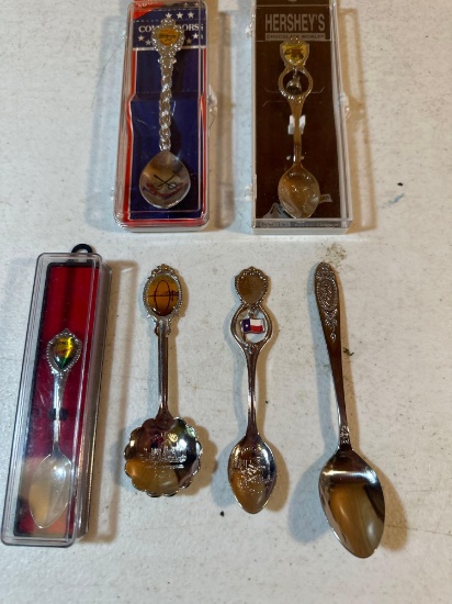 6 Souvenir Collectors Spoons