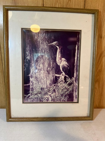 Bird Print In Wooden Frame