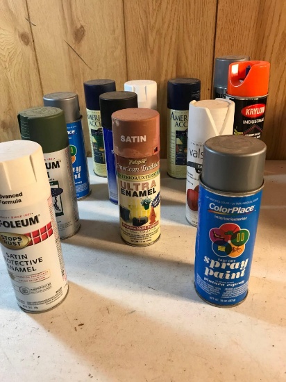 12 Spray Cans of Paint