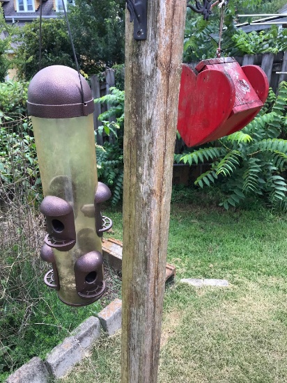 Bird Feeder And Bird House