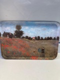 Labrazel Plastic Decorative Serving Tray