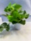 New Artificial Plant In Planter