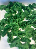 1000 Pcs Green Silk Artificial Flower Petals
