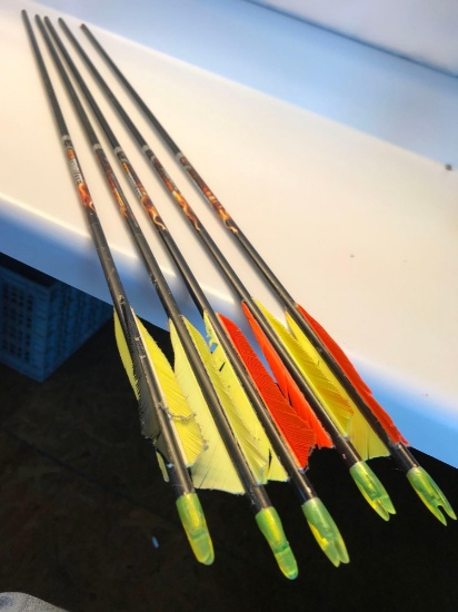 XX Tribute Arrows 5 Total