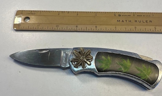 Folding Stainless Steel Blade Pocket Knife