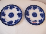 PAIR OF FLOW BLUE DINNER PLATES 10