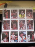 Chicago Bulls Uncut Sheet Of Basketball Cards